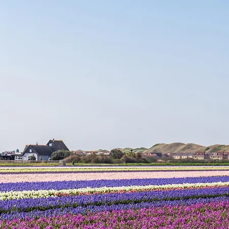 Duyngroet - Landal Park Ooghduyne Aan Zee Holiday home Julianadorp